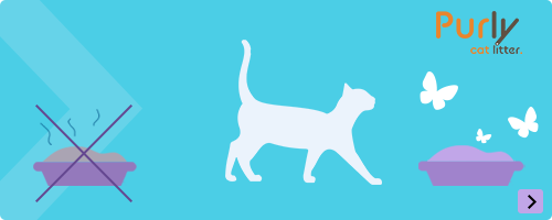 Stap over naar een frisse kattenbak: Purly Silica